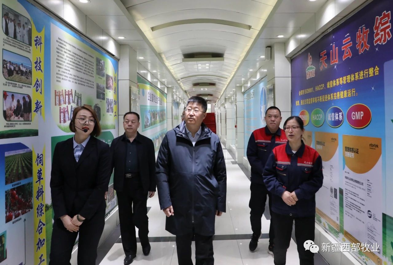 八師石河子市黨委常委、八師副師長趙日強到天山云牧公司調研