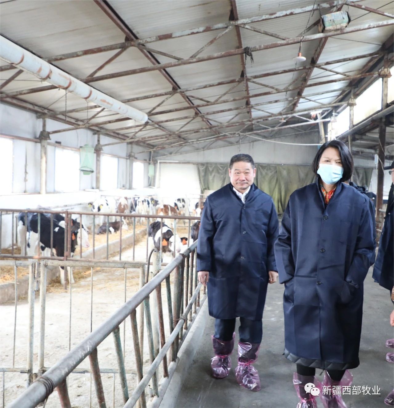 20230403155242_80348 20230403155242_80348